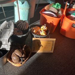 pumpkins, furniture and more