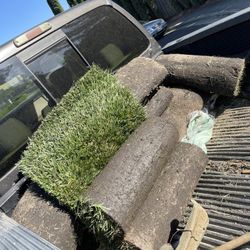 !SOD!  9 FRESH Rolls Of Sod. Pick Up & Drop Off