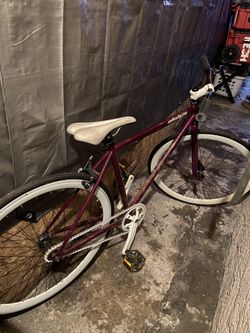 Bicicletea Seminueva