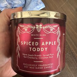 Bath And Body Works Candle 