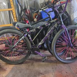 Big Flyer Bike