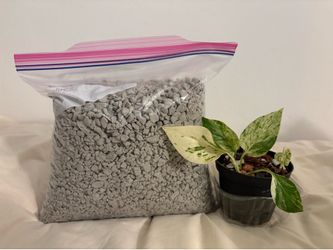 Sustainable perlite alternative