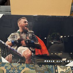 Conor Mcgregor Canvas