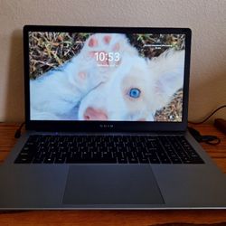 Sgin Laptop 
