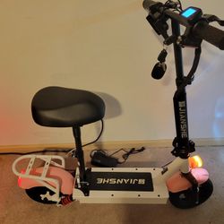 Electric Scooter 