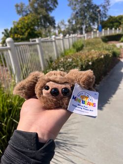 Build a bear jumping spider mini