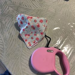 Alcott Retractable Dog 🐶 Leashe For Small Dog