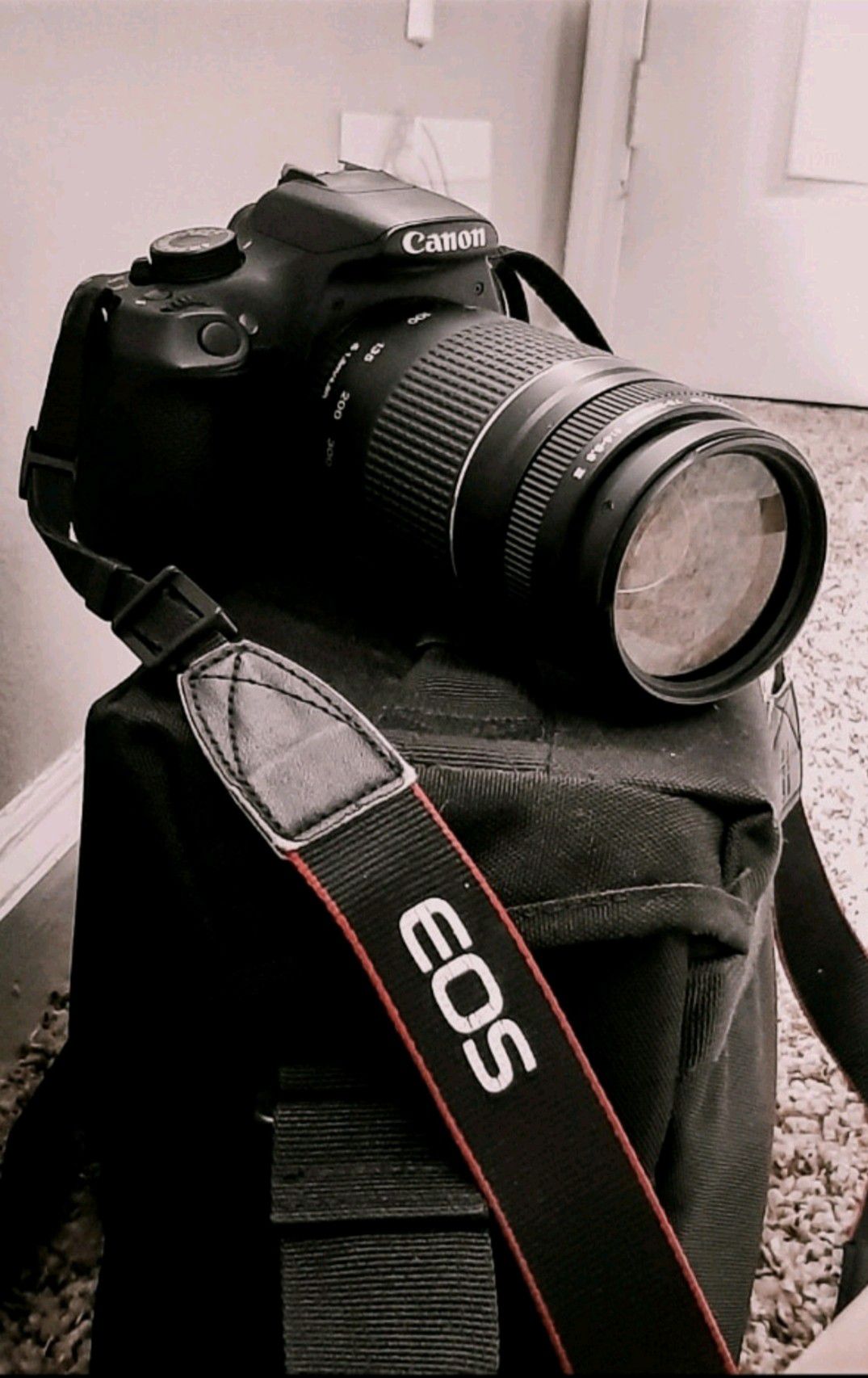 Canon Rebel T5 with 75-300mm lens
