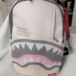 Pink & Grey Spray Ground Backpack 