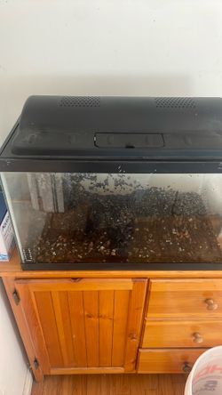 10 gallon aquarium with all accessories