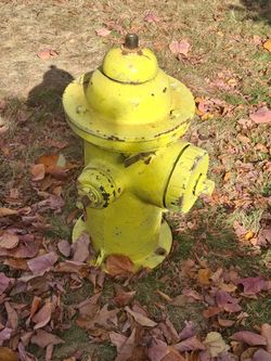 Fire hydrant