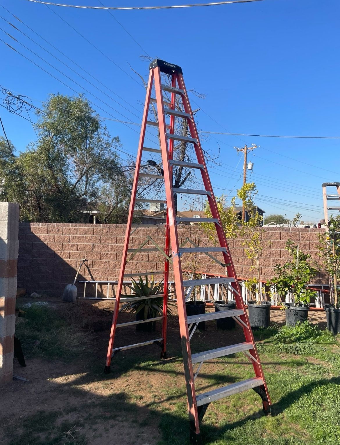 Ladder