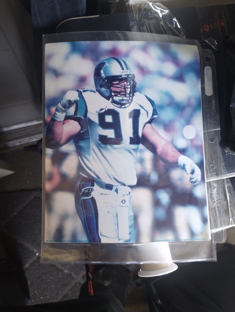 NFL PhotoFile Pictures Carolina Panthers
