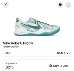 Nike Kobe 8 Protro Big Kids Basketball Shoes