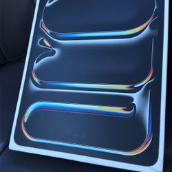 iPad Pro M4 13 Inch 256 WiFi Cellular 