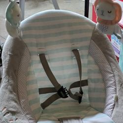 Baby Swing