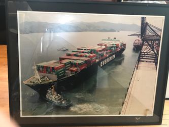 Evergreen ocean 🌊 port picture