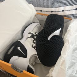 LeBron Sleek Nike shoes.