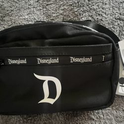 Disney Fanny Pack