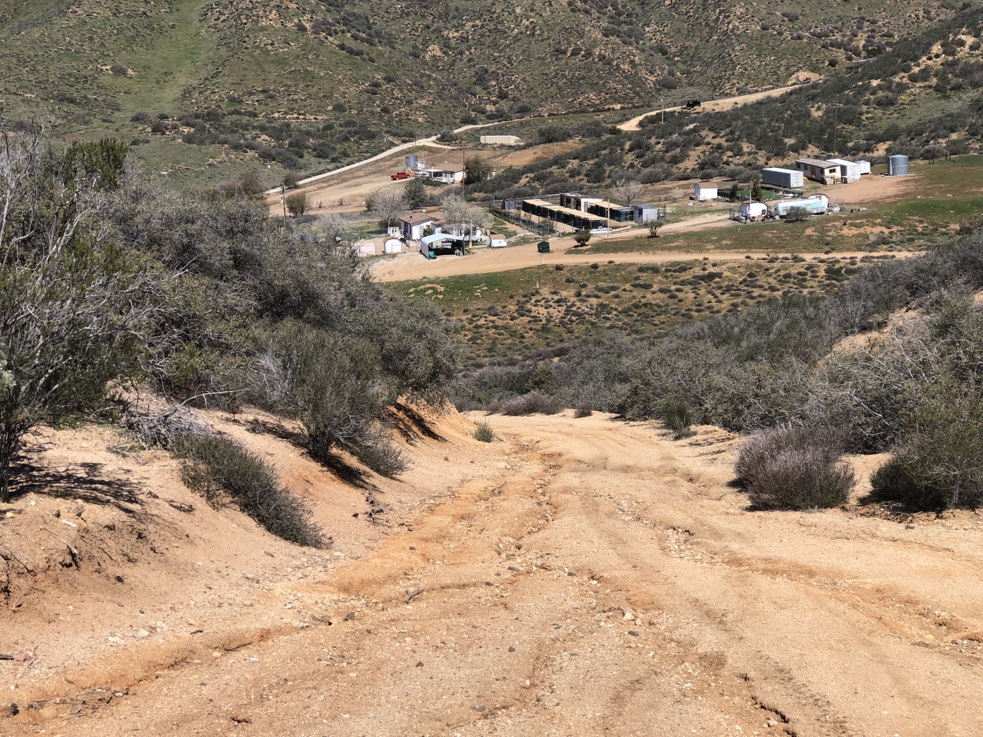 Acton ,ca horse land for sale !!!!