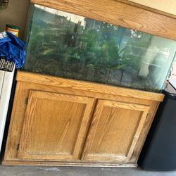 100 Gallons Fish Tank 