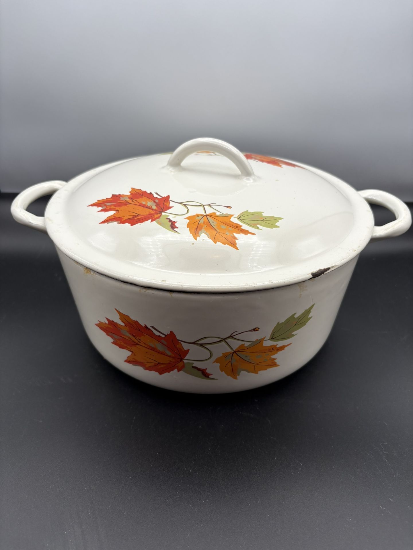 Cast Iron Descoware Dutch Oven 8 5/8” Diameter About 5 Quart 