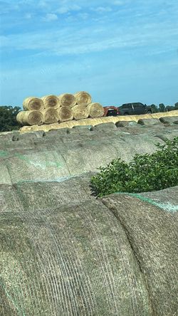 Hay Rolls For Sale