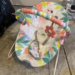 Baby Bouncer
