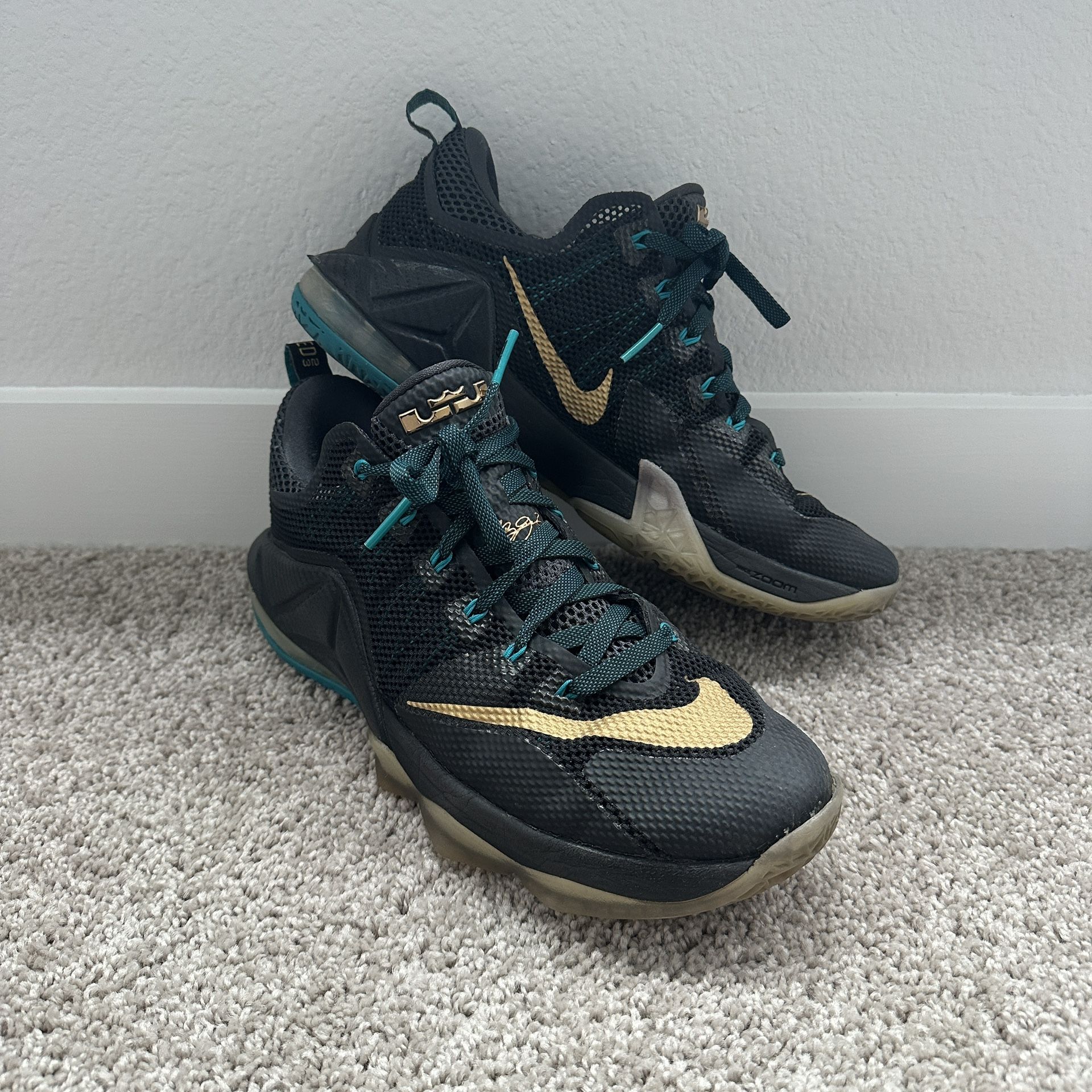 Nike LeBron 12 Low Carbon Fiber Size 11.5