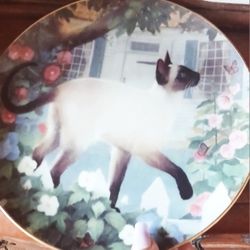 Authentic  Cat Dish CHINA plates