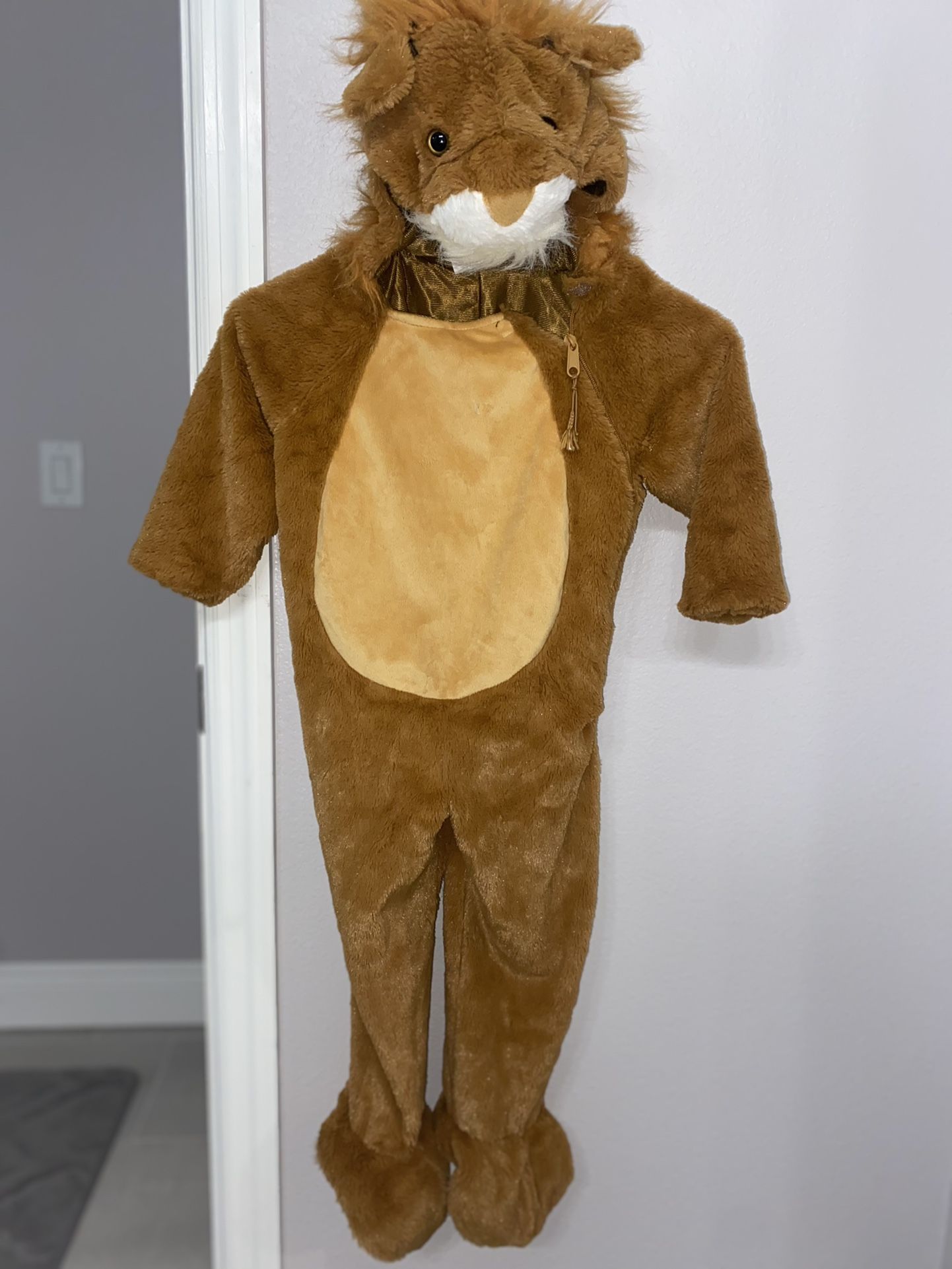 Lion Costume 