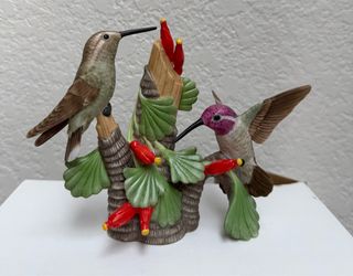 Hummingbirds 🦩🦩🦩