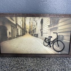 Framed Bicycle Street Art