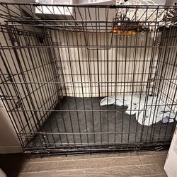 Large Dog Kennel