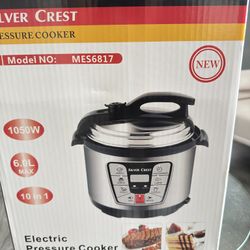 Fryer pot, rice cooker and pressure 
