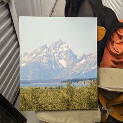 Mountain Range Canvas 