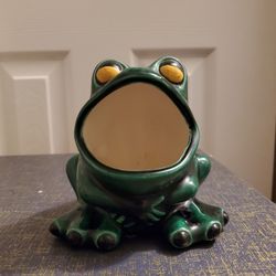 Frog Sponge Holder 