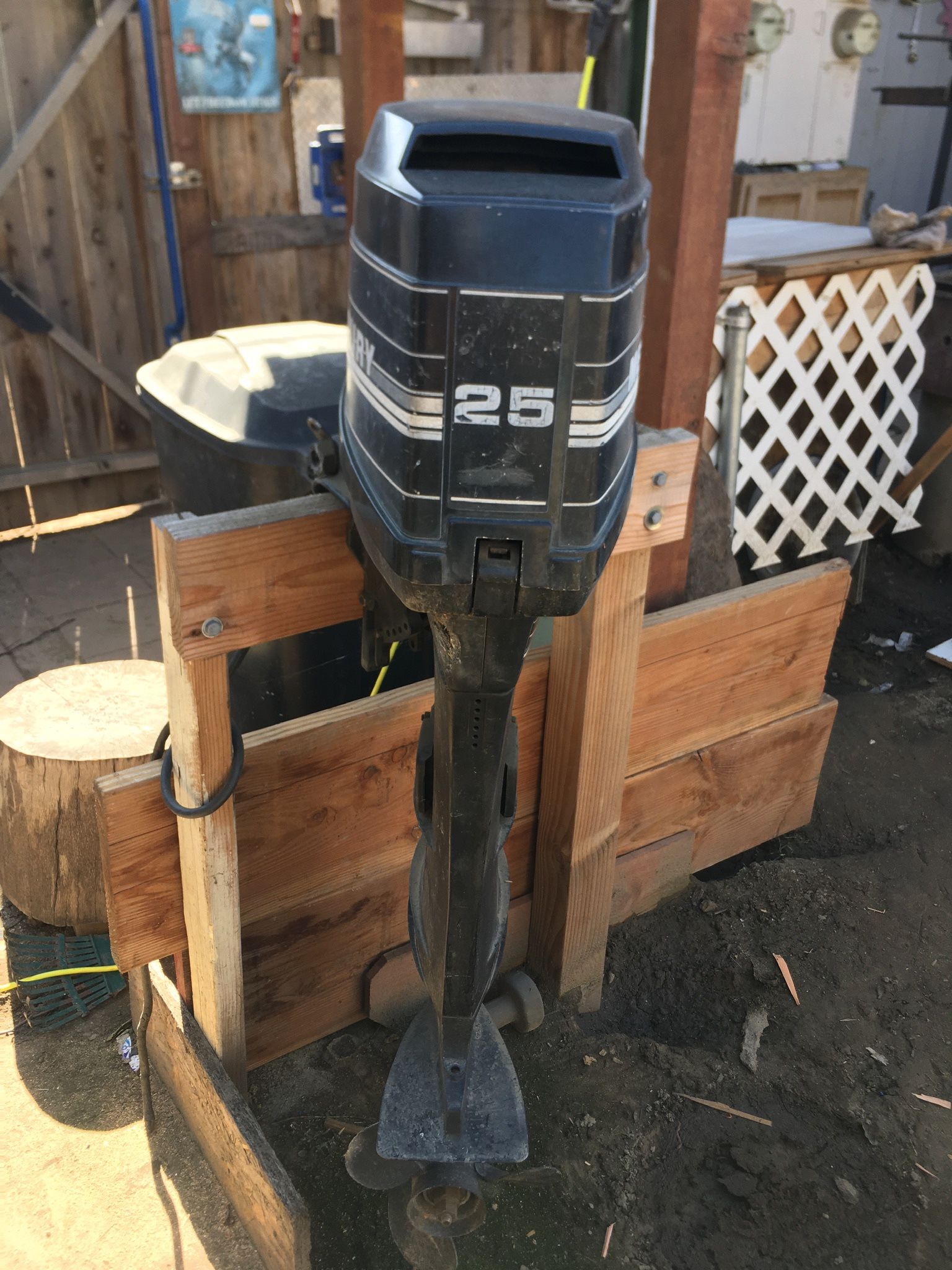 Mercury 25 Hp Electric Star And Pool