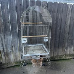 Bird Cage 