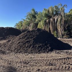 Mulch 