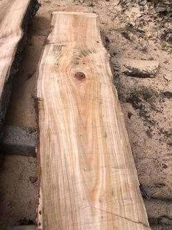 Cherry Wood Slabs
