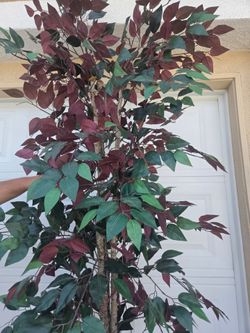 Tall artficial Tree