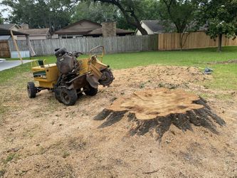 Stump Grinder