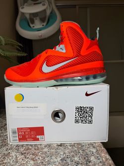 Size10.5 LeBron 9