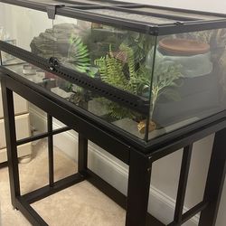 Reptile 40 Gallon Terrarium