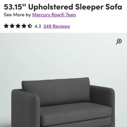 Sleeper Sofa 