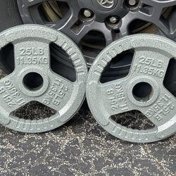 PAIR  OF  25  LB.  OLYMPIC  EASY  GRIP  PLATES   