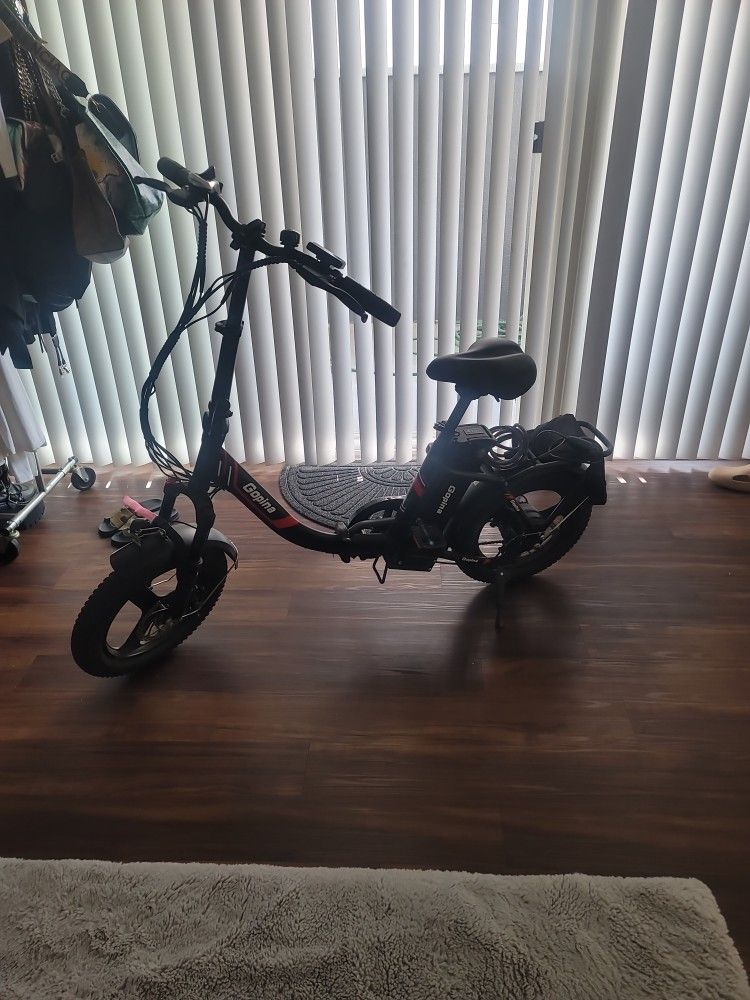 GOPINA Electric Bike