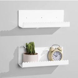 2 Pack Acrylic Wall Floating Shelves