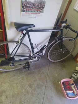 Diamond Back Interval 